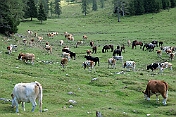 K1600_P1001737
