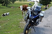 K1600_P1001740