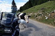 K1600_P1001750