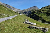 K1600_P1002794