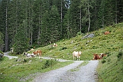 K1600_P1003011