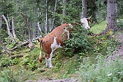 K1600_P1003012