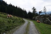 K1600_P1003015