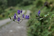 K1600_P1003030