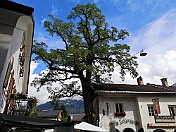 K1600_IMG_20200824_112012