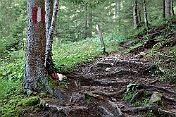 K1600_P1002327