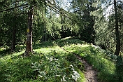 K1600_P1002334