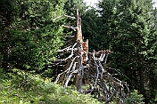 K1600_P1002350