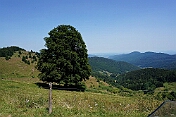 K1600_DSC04624