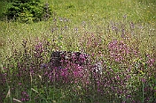 K1600_K1600_DSC04199