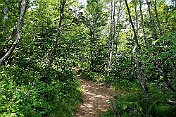 K1600_K1600_DSC04208