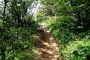 K1600_K1600_DSC04209