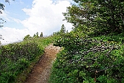 K1600_K1600_DSC04210