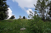 K1600_K1600_DSC04220