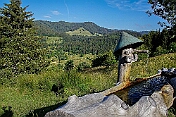 K1600_K1600_DSC03428