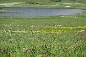 K1600_DSC03572