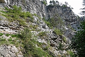 K1600_DSC03502