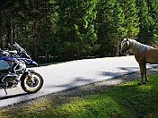 K1600_IMG_20190627_090510 rrem