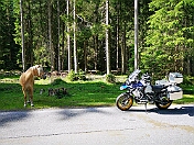 K1600_IMG_20190627_090526 rrem