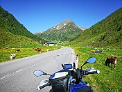 K1600_IMG_20190627_100652 rrem