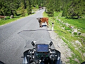 K1600_IMG_20190627_101620 rrem
