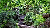 K1600__A748233 null