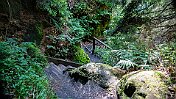 K1600__A748238 null