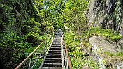 K1600__A748242 null
