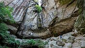 K1600__A748459 null