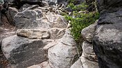 K1600__A748975 null