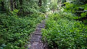 K1600__A749061 null