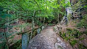 K1600__A748843 null
