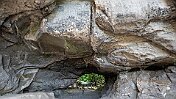 K1600__A748856 null