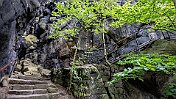 K1600__A748093 null