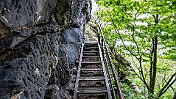 K1600__A748094 null