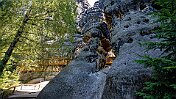 K1600__A748682 null