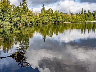 Morgenstern Runde von Braunlage