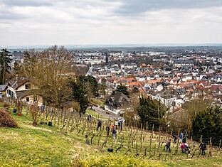 Panoramablick vom Johannisberg