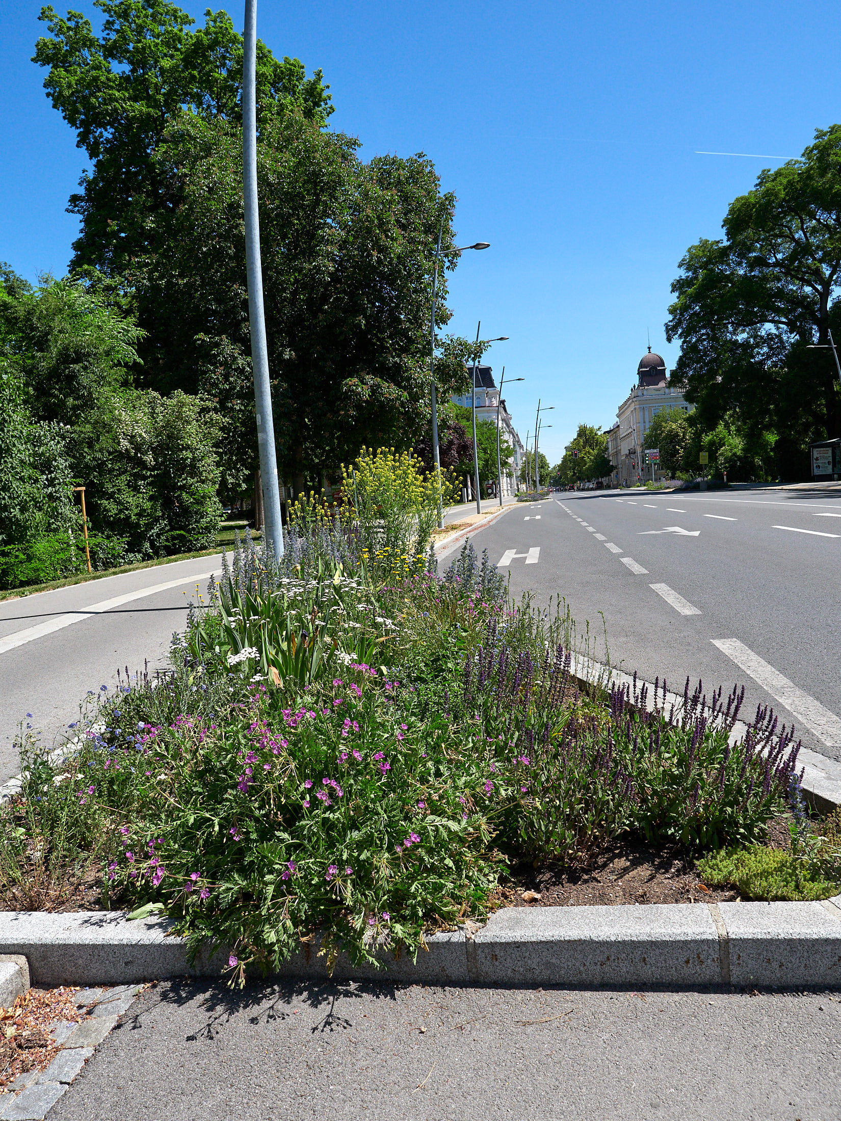 26-05-29_KR_Rebellen_095.jpg