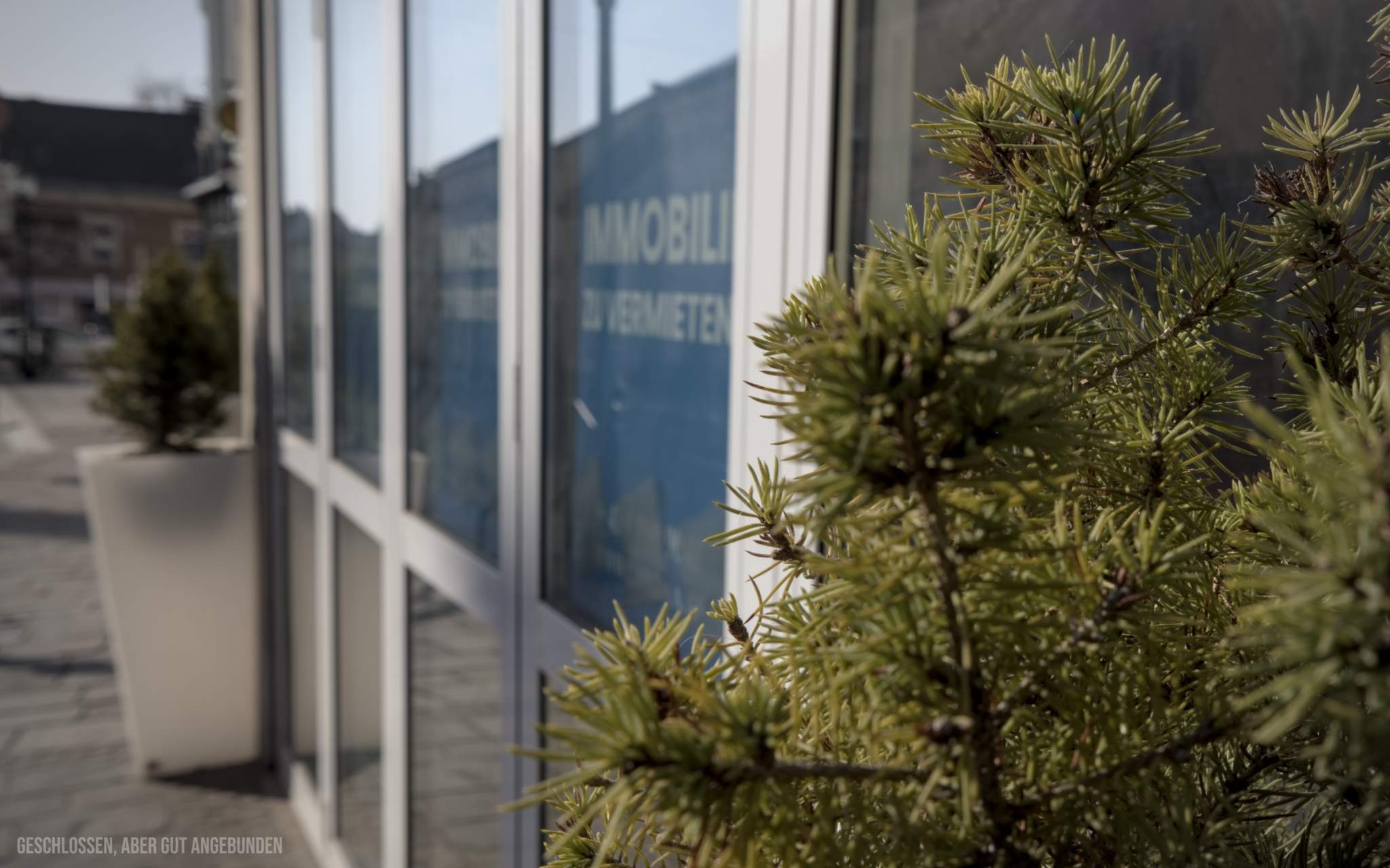 24_Geschlossen aber gut angebunden.jpg