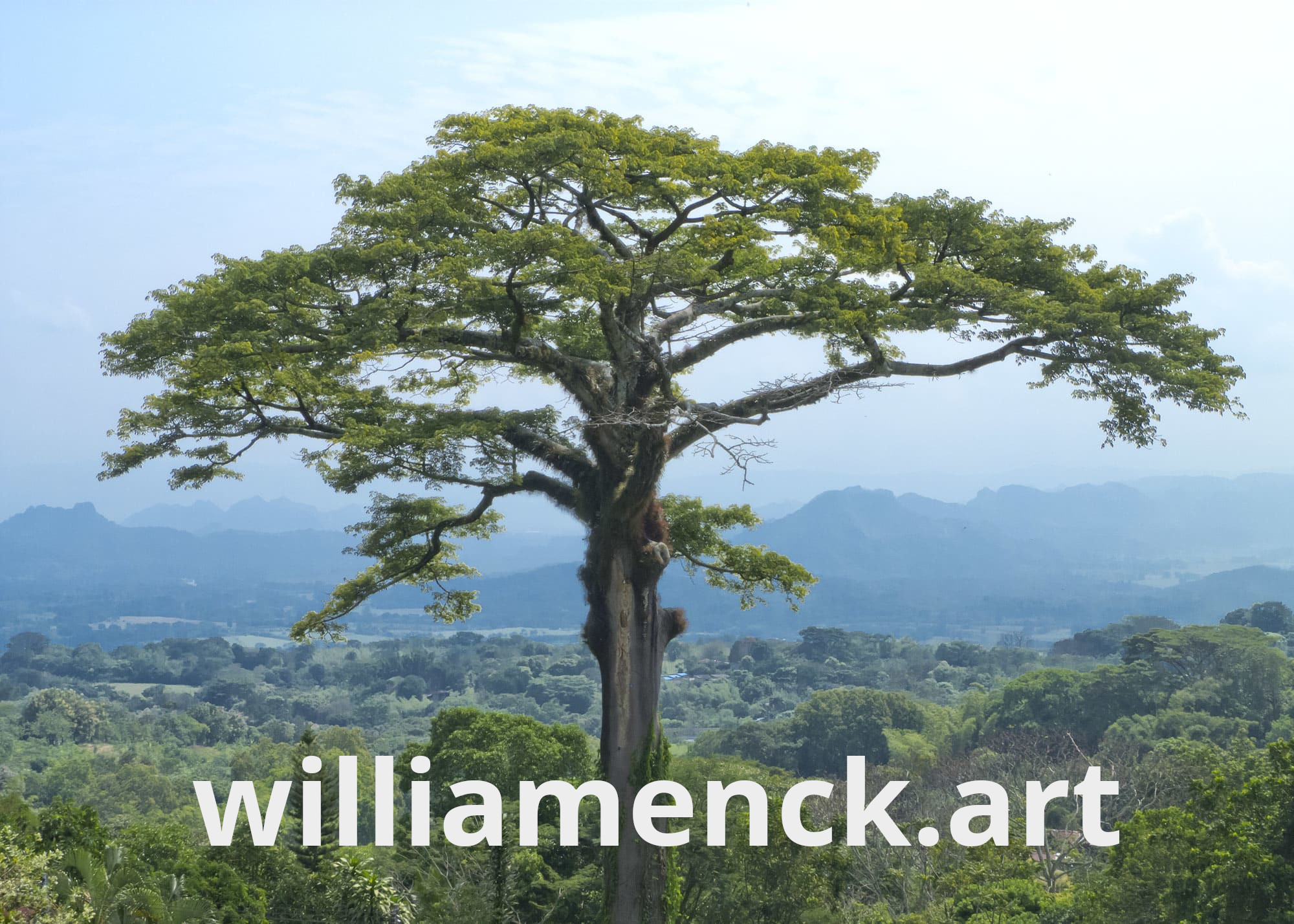 William Enckhausen