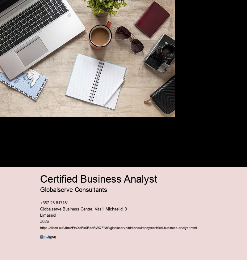 Certified Business Analyst