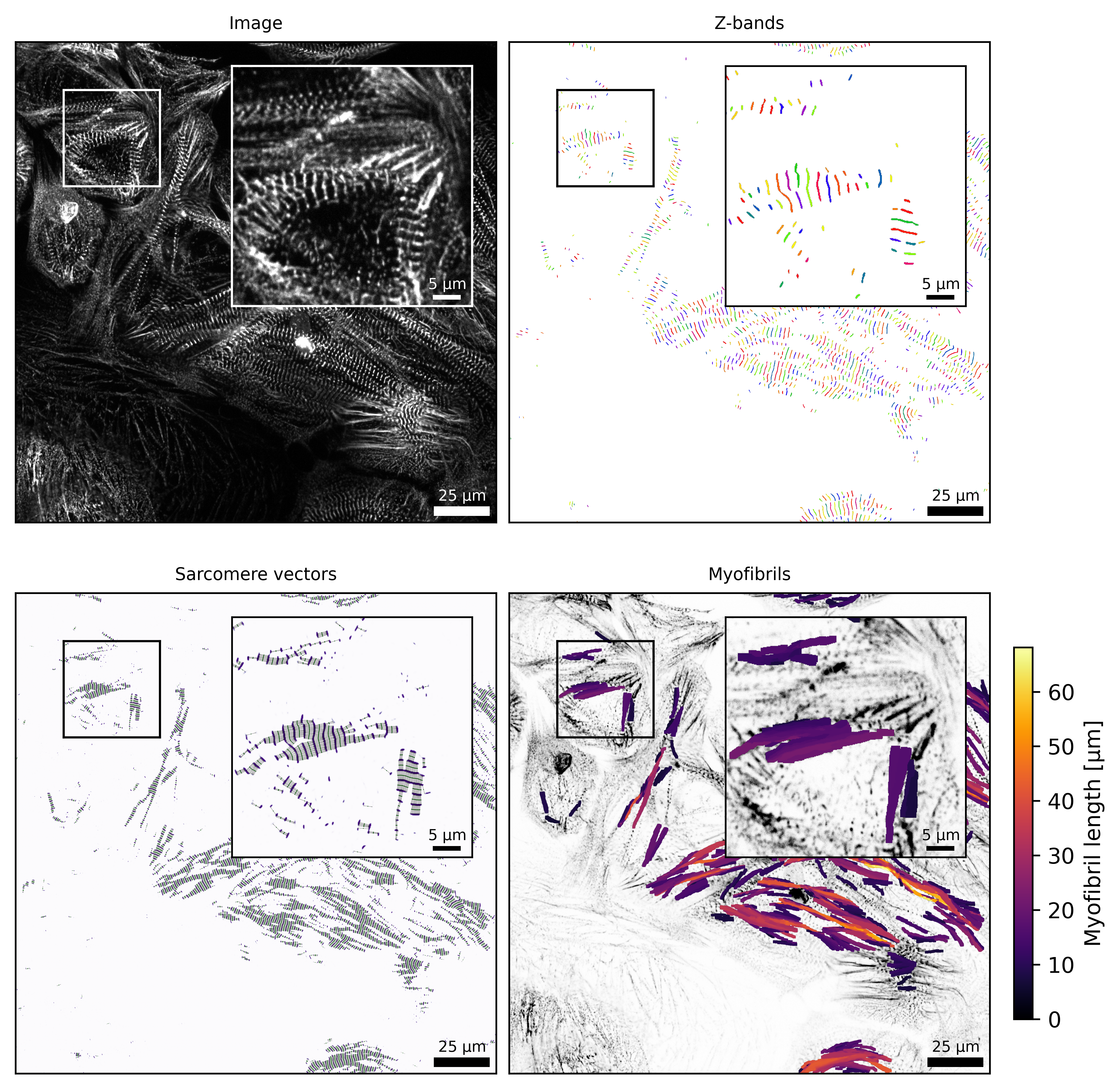 ../_images/notebooks_tutorial_data_visualization_3_0.png