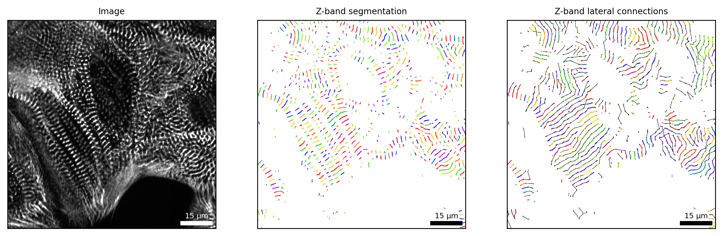 ../_images/notebooks_tutorial_structure_analysis_11_0.png