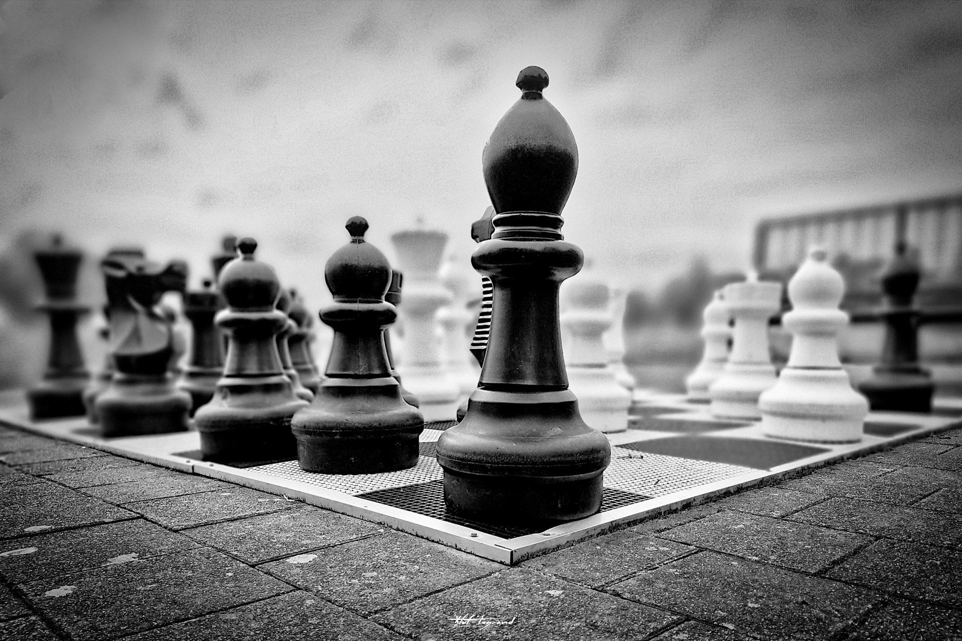 #181424 - Messines - 14/04/2024