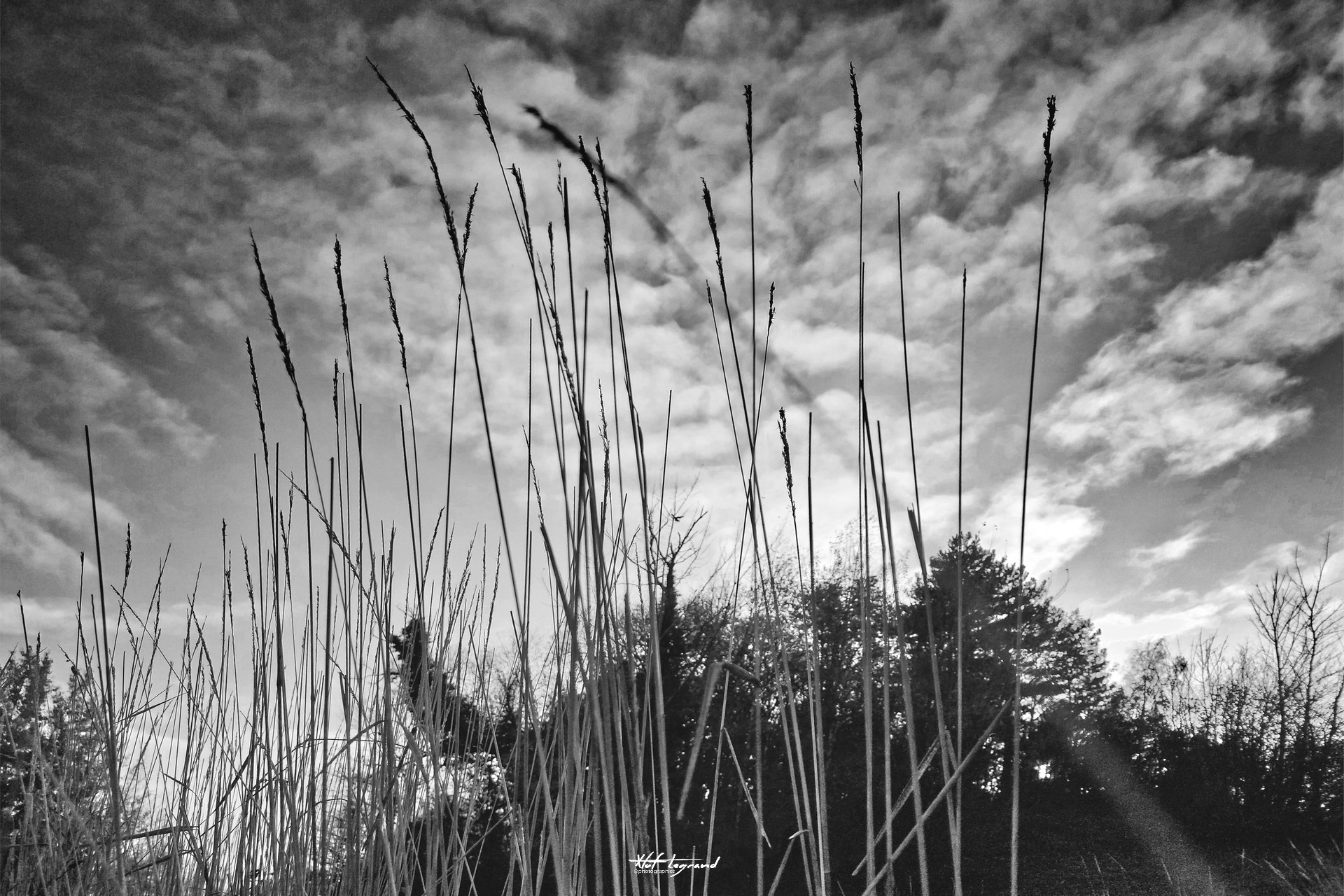 
Devant le LaM
#150501 - LaM, Villeneuve d'Ascq - 26/11/2025