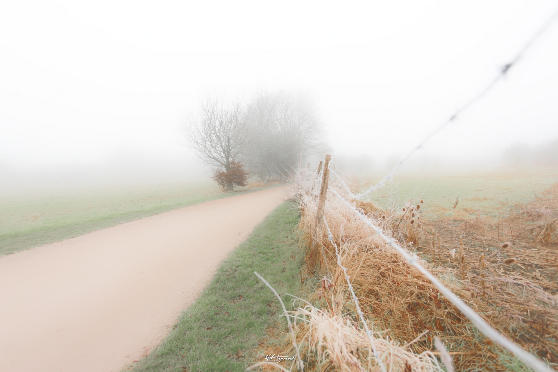 Lueur de brouillard
#A7443 - Lac du Héron, Villeneuve d'Ascq - 25/01/2022