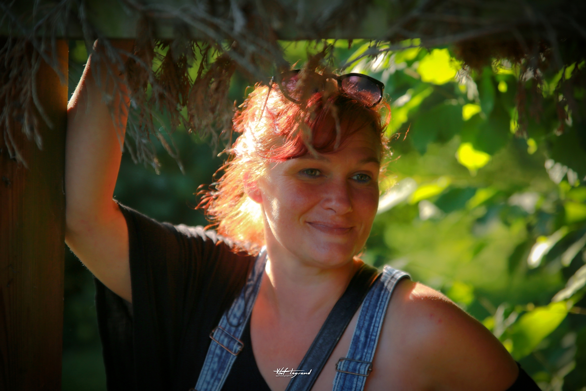 Des reflets dorés
#A2904 - Etang Verbrugghe, Wattrelos - 11/08/2021