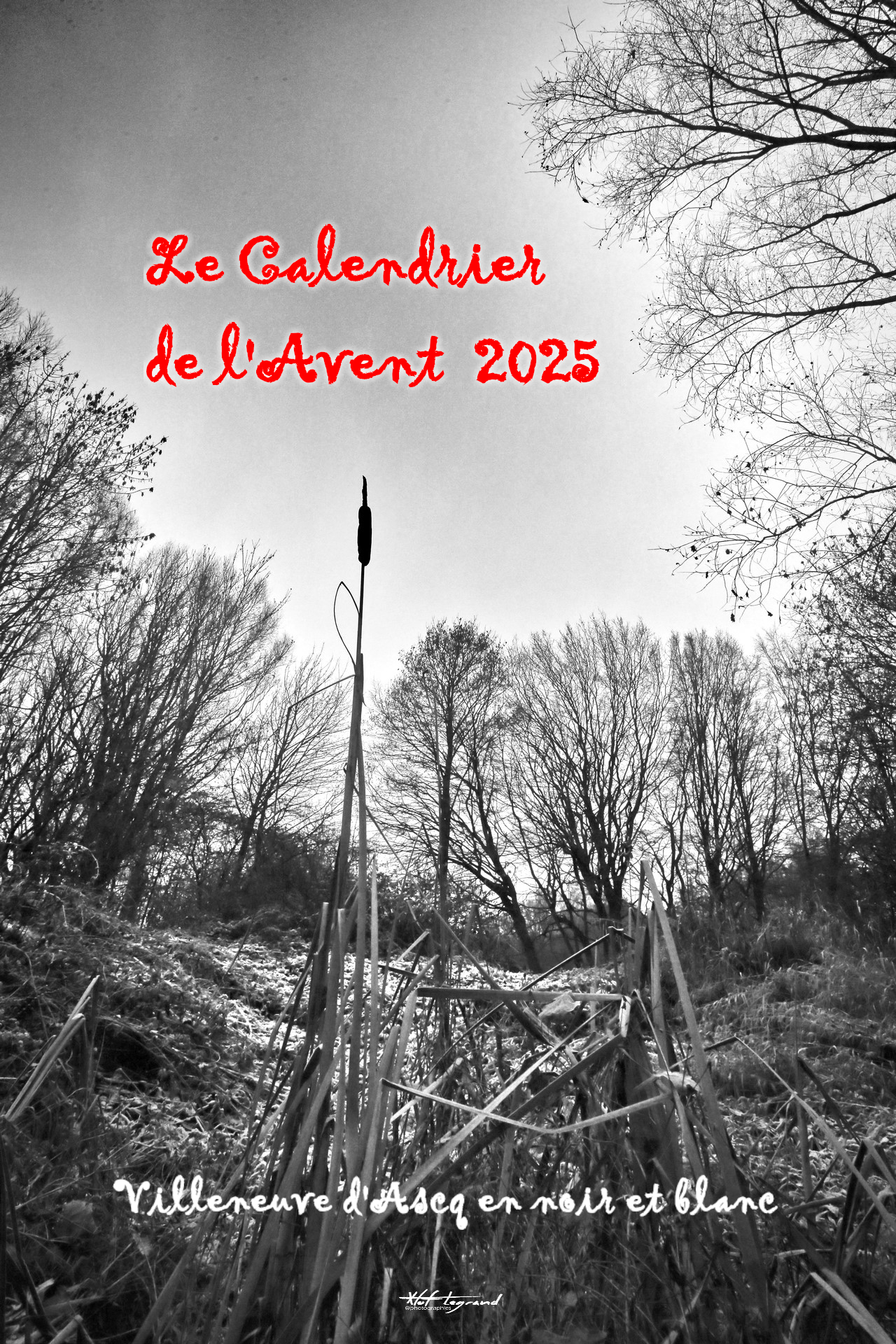 Villeneuve en noir et blanc