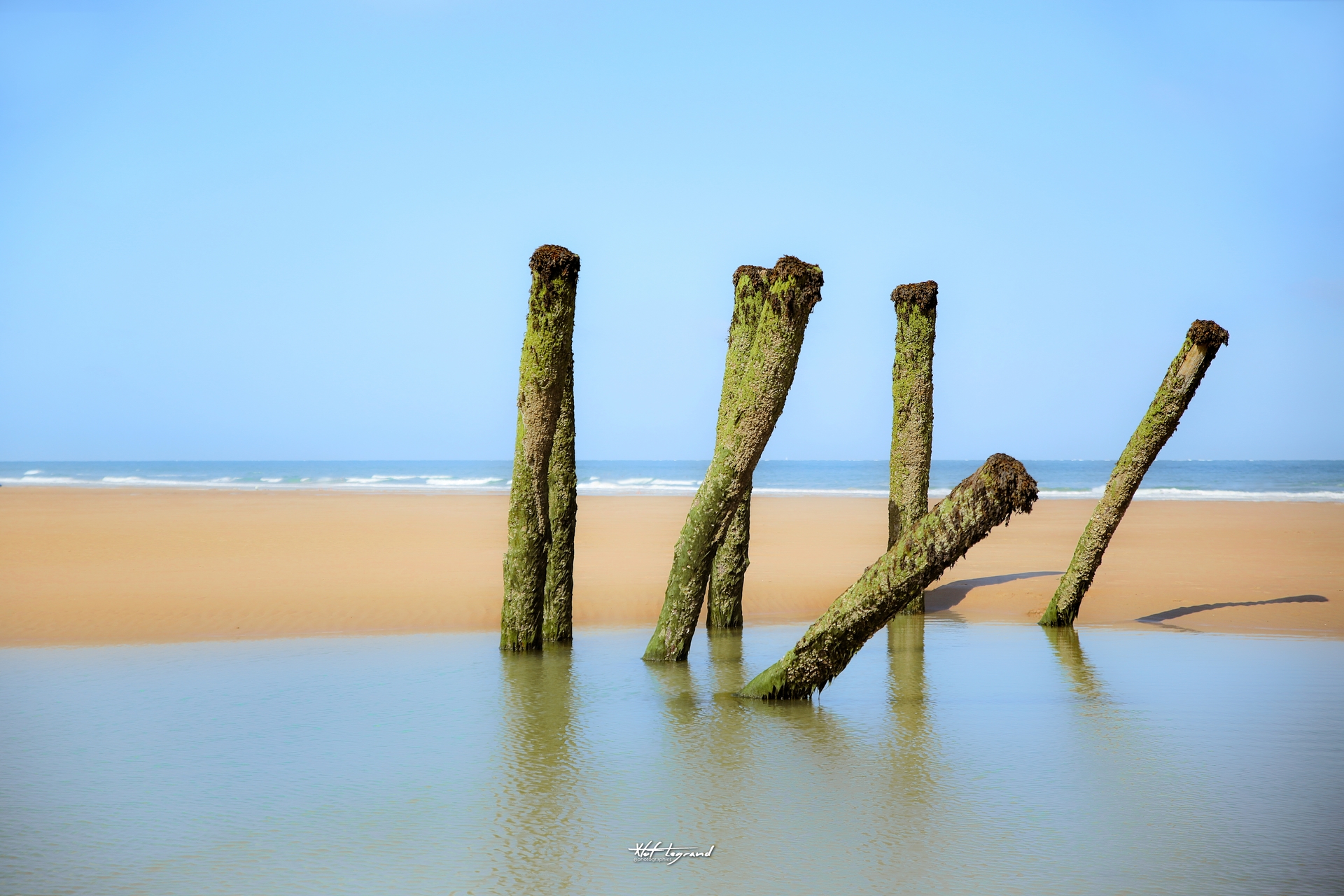 Les poteaux de Wissant | Xtof-Photographie